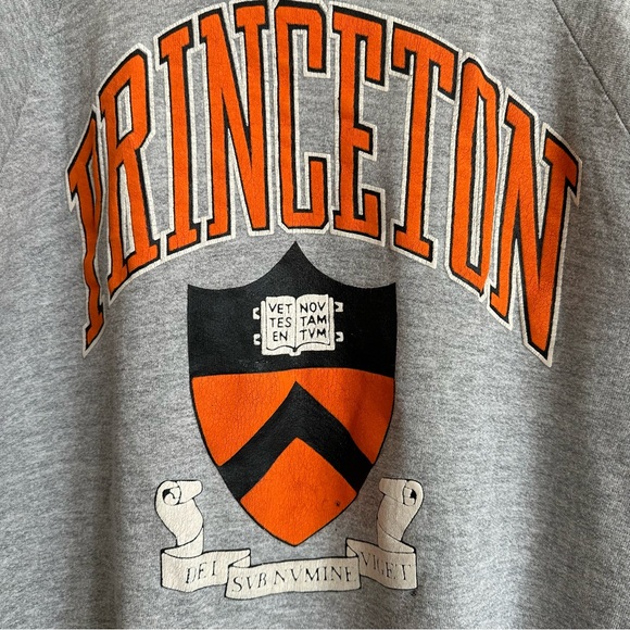 Vintage 90s Princeton crewneck- fits like L - Picture 2 of 4
